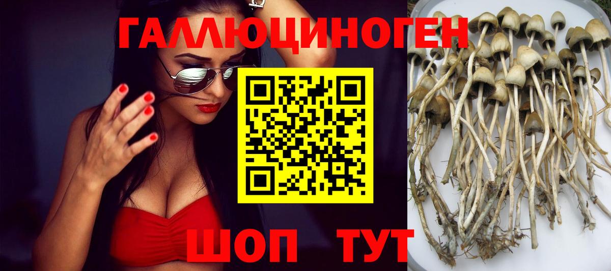 Кандалакша  Галлюциногенные грибы MAGIC MUSHROOMS  Галлюциногенные грибы мицелий  Вход с VPN 